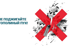 Тополиный пух - скрытая пожарная опасность летом