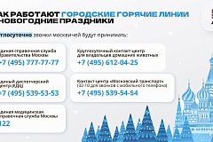 В новогодние каникулы москвичи смогут круглосуточно обращаться на горячие линии городских служб