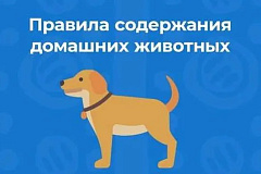 Правила содержания и выгула домашних животных